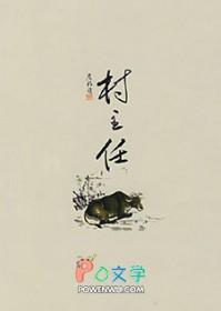 村主任主要负责什么工作