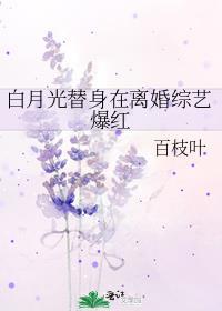 白月光替身(穿书)