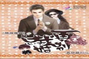 情深晚嫁：总裁，别再婚