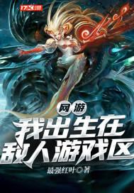 网游：我出生在敌人游戏区